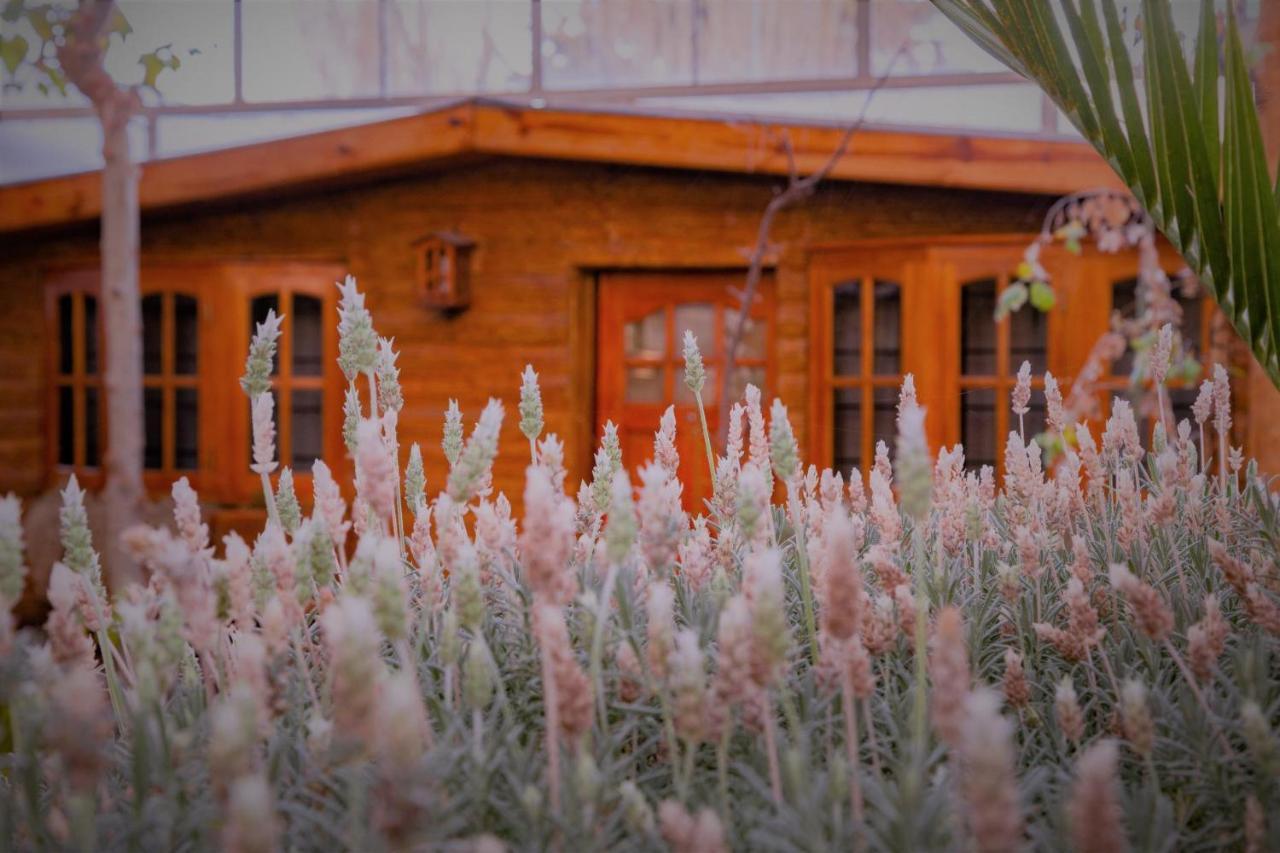 Don Pepe Hotel y Cabañas El Calafate Exterior foto